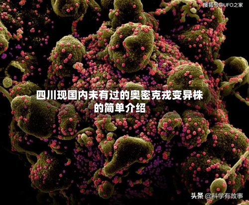 四川现国内未有过的奥密克戎变异株的简单介绍