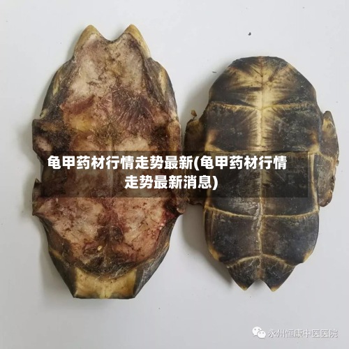 龟甲药材行情走势最新(龟甲药材行情走势最新消息)
