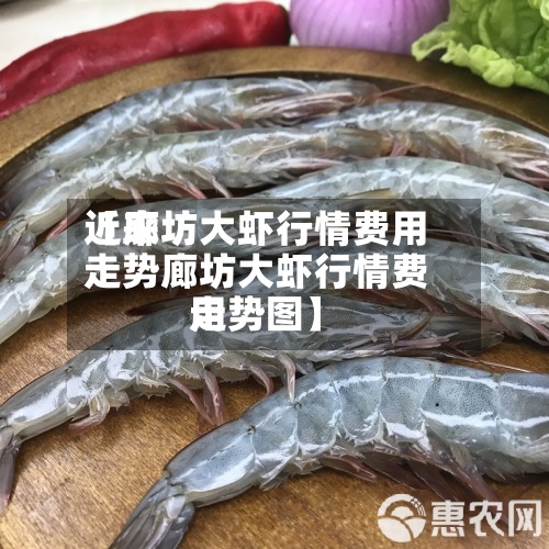 近来【廊坊大虾行情费用走势廊坊大虾行情费用走势图】-第2张图片
