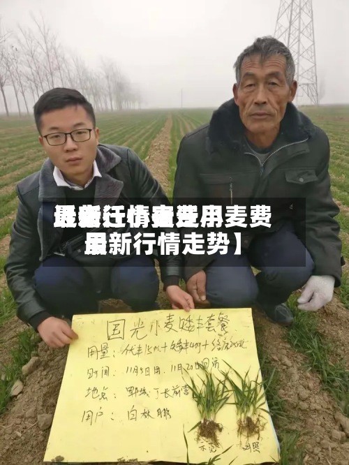 近来
【宿迁小麦费用
最新行情宿迁小麦费用
最新行情走势】
