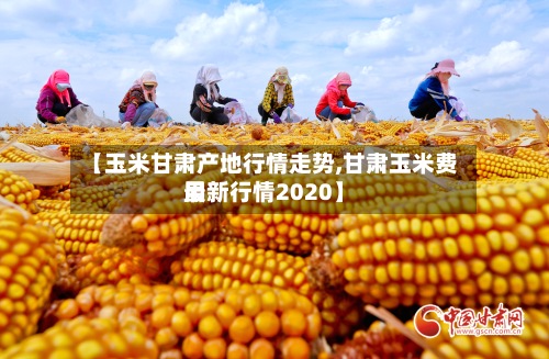 【玉米甘肃产地行情走势,甘肃玉米费用
最新行情2020】-第2张图片
