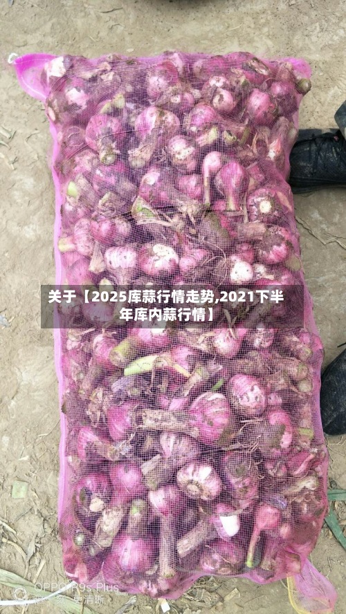 关于【2025库蒜行情走势,2021下半年库内蒜行情】-第2张图片