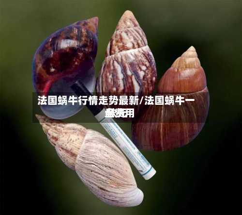 法国蜗牛行情走势最新/法国蜗牛一盘费用
欧元
