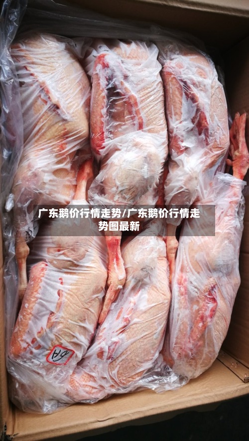 广东鹅价行情走势/广东鹅价行情走势图最新