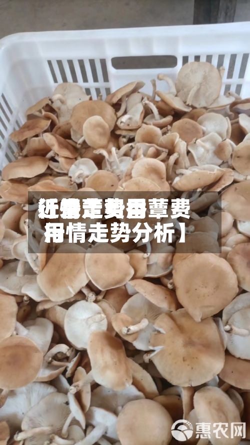 近来【香蕈费用行情走势香蕈费用行情走势分析】-第2张图片