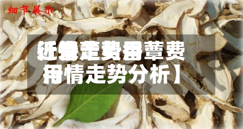 近来【香蕈费用行情走势香蕈费用行情走势分析】