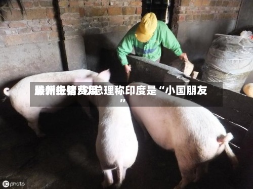 滕州生猪费用
最新行情/以总理称印度是“小国朋友”