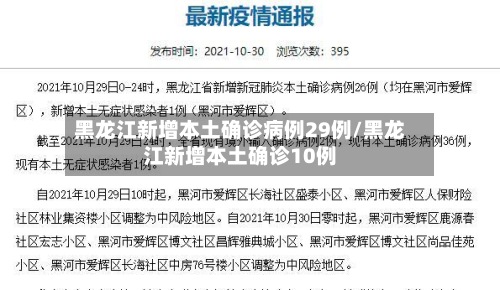 黑龙江新增本土确诊病例29例/黑龙江新增本土确诊10例