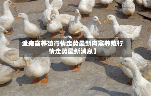 近来【肉禽养殖行情走势最新肉禽养殖行情走势最新消息】