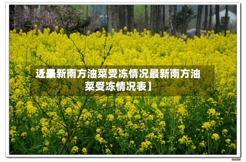 近来【最新南方油菜受冻情况最新南方油菜受冻情况表】