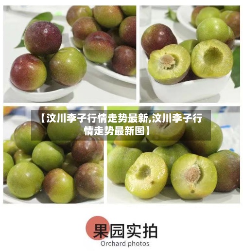 【汶川李子行情走势最新,汶川李子行情走势最新图】