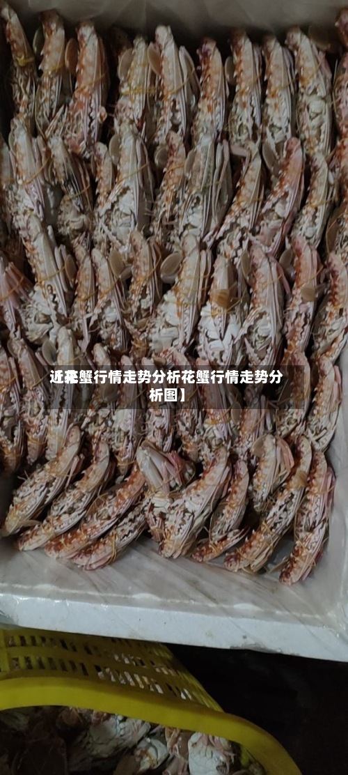 近来
【花蟹行情走势分析花蟹行情走势分析图】