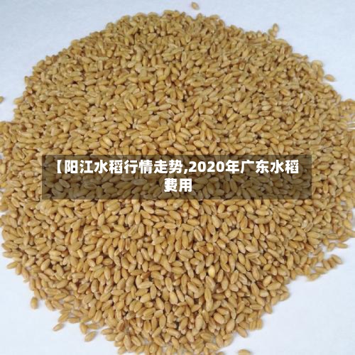 【阳江水稻行情走势,2020年广东水稻费用
】-第2张图片