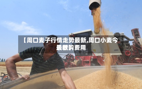 【周口麦子行情走势最新,周口小麦今天收购费用最新】