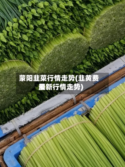 蒙阳韭菜行情走势(韭黄费用
最新行情走势)-第3张图片
