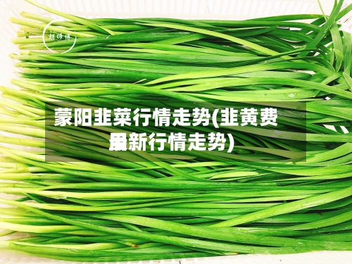 蒙阳韭菜行情走势(韭黄费用
最新行情走势)-第2张图片