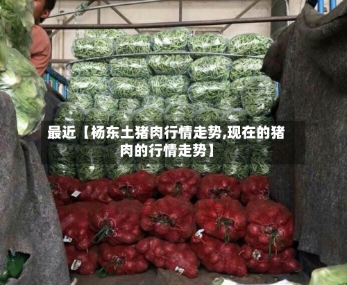 最近【杨东土猪肉行情走势,现在的猪肉的行情走势】