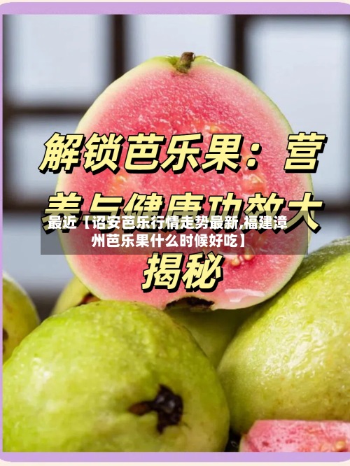 最近【诏安芭乐行情走势最新,福建漳州芭乐果什么时候好吃】-第2张图片