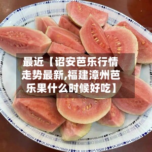 最近【诏安芭乐行情走势最新,福建漳州芭乐果什么时候好吃】-第3张图片
