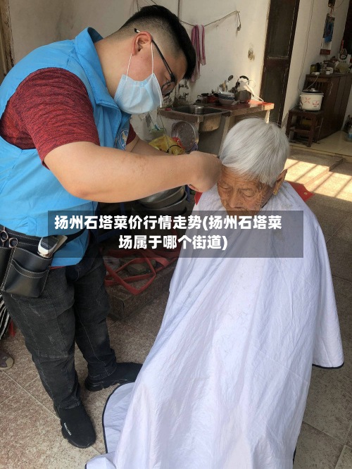 扬州石塔菜价行情走势(扬州石塔菜场属于哪个街道)-第2张图片