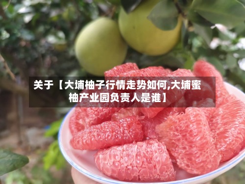 关于【大埔柚子行情走势如何,大埔蜜柚产业园负责人是谁】-第2张图片
