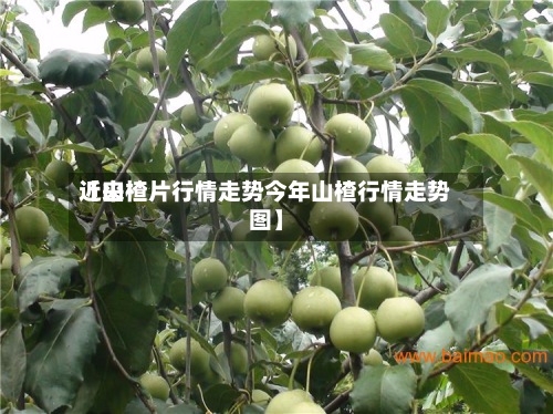 近来
【山楂片行情走势今年山楂行情走势图】-第2张图片