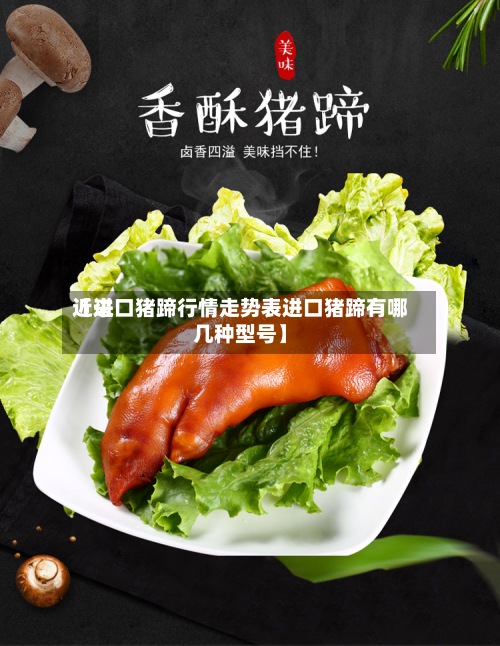 近来
【进口猪蹄行情走势表进口猪蹄有哪几种型号】-第3张图片