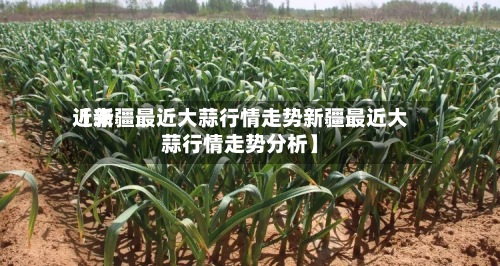 近来【新疆最近大蒜行情走势新疆最近大蒜行情走势分析】