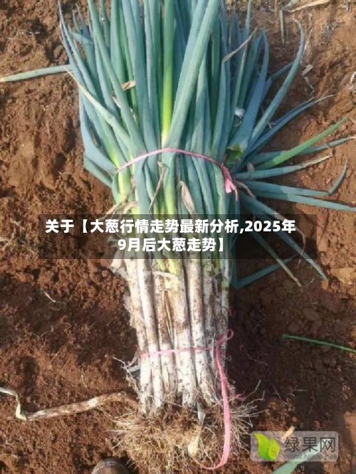 关于【大葱行情走势最新分析,2025年9月后大葱走势】-第2张图片