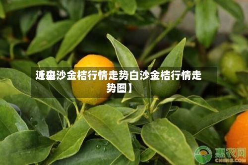 近来
【白沙金桔行情走势白沙金桔行情走势图】