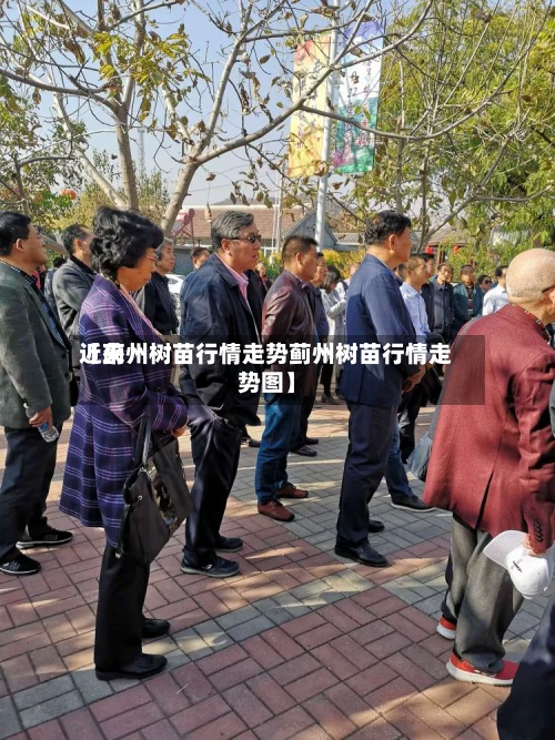 近来
【蓟州树苗行情走势蓟州树苗行情走势图】-第3张图片