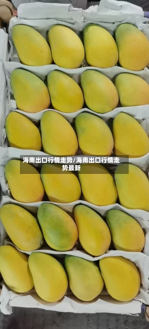 海南出口行情走势/海南出口行情走势最新
