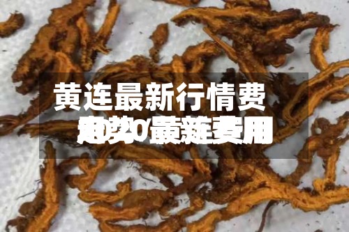 黄连最新行情费用
走势/黄连费用
2020最新费用
-第3张图片