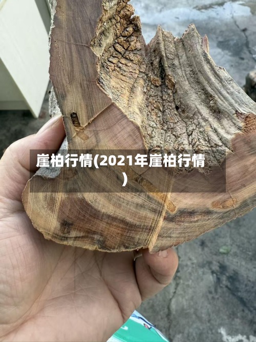 崖柏行情(2021年崖柏行情)