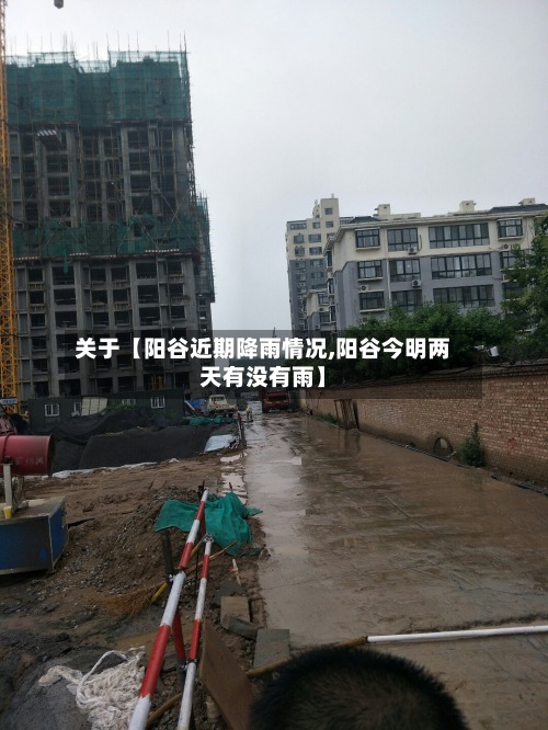 关于【阳谷近期降雨情况,阳谷今明两天有没有雨】