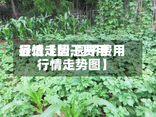 最近【园子费用行情走势,园子费用行情走势图】