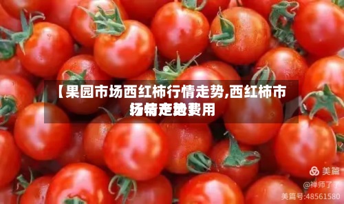 【果园市场西红柿行情走势,西红柿市场与产地费用行情走势】
