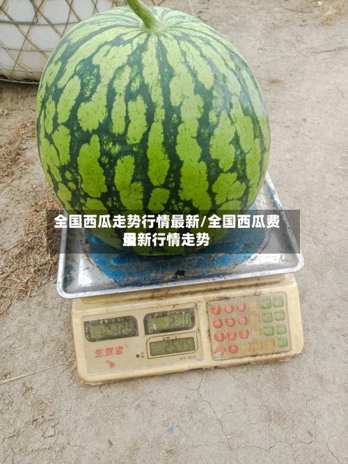 全国西瓜走势行情最新/全国西瓜费用最新行情走势-第2张图片