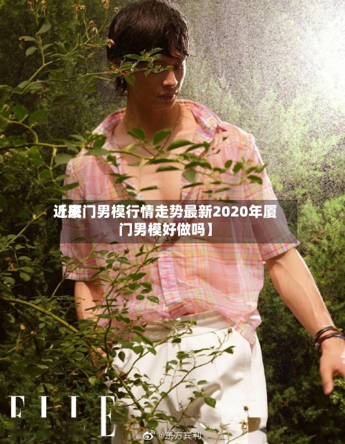 近来
【厦门男模行情走势最新2020年厦门男模好做吗】-第2张图片