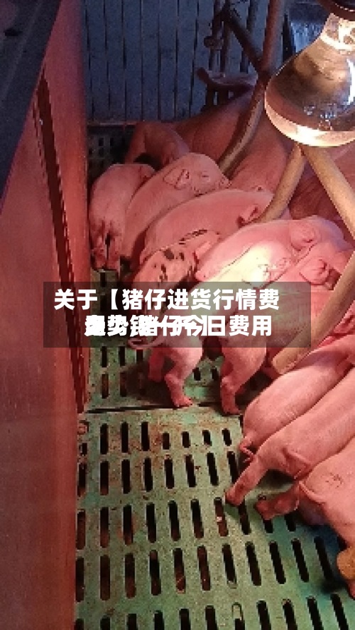 关于【猪仔进货行情费用
走势,猪仔今日费用
多少钱一斤】