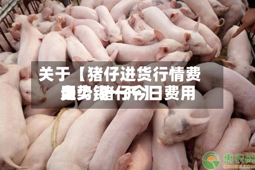 关于【猪仔进货行情费用
走势,猪仔今日费用
多少钱一斤】-第2张图片