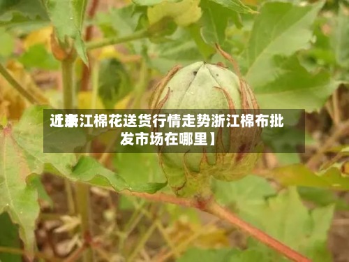 近来【浙江棉花送货行情走势浙江棉布批发市场在哪里】-第2张图片