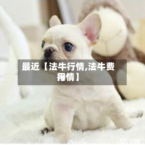 最近【法牛行情,法牛费用
行情】-第2张图片