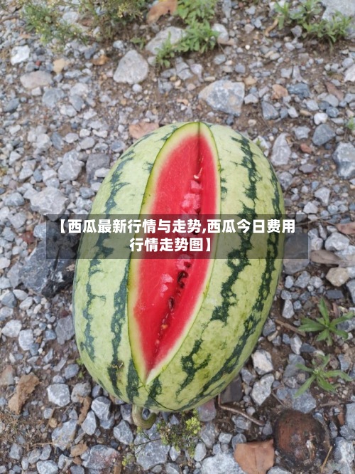 【西瓜最新行情与走势,西瓜今日费用
行情走势图】-第2张图片