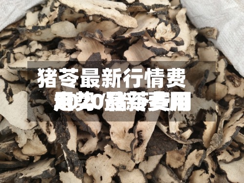 猪苓最新行情费用走势/猪苓费用2020最新费用