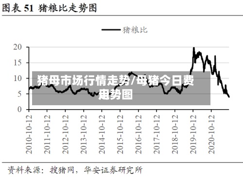 猪母市场行情走势/母猪今日费用走势图-第2张图片