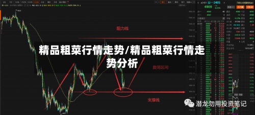 精品粗菜行情走势/精品粗菜行情走势分析