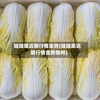 娃娃菜近期行情走势(娃娃菜近期行情走势如何)