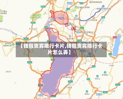 【钱包贵宾限行卡片,钱包贵宾限行卡片怎么弄】-第2张图片