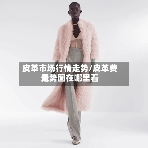 皮革市场行情走势/皮革费用
走势图在哪里看